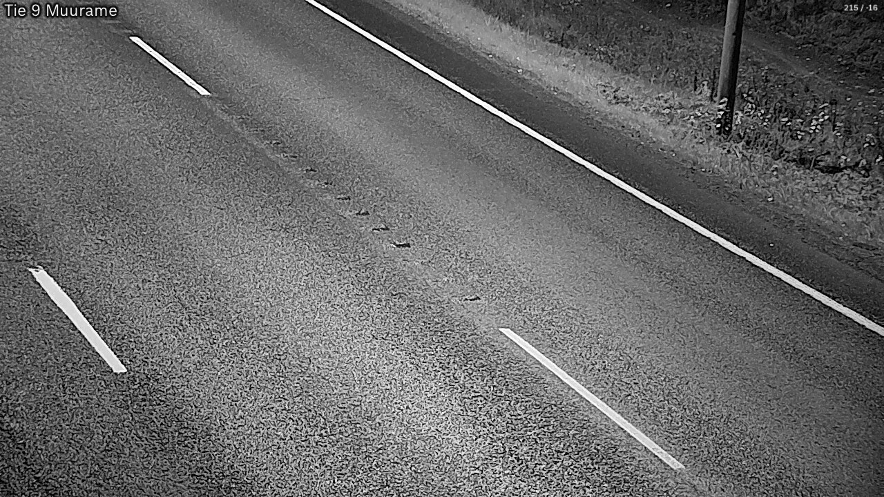Kelikamerat Kuva Tie 9 Muurame, Muurame, Keski-Suomi