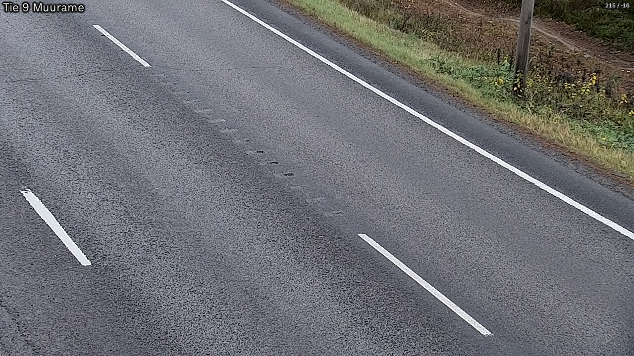 Kelikamerat Kuva Tie 9 Muurame, Muurame, Keski-Suomi
