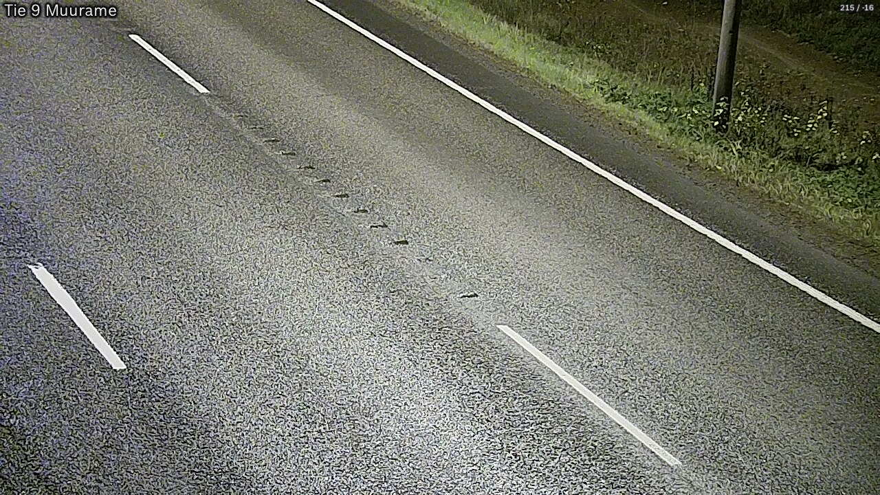 Kelikamerat Kuva Tie 9 Muurame, Muurame, Keski-Suomi