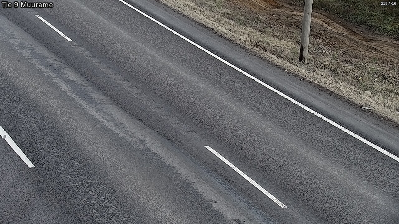 Kelikamerat Kuva Tie 9 Muurame, Muurame, Keski-Suomi