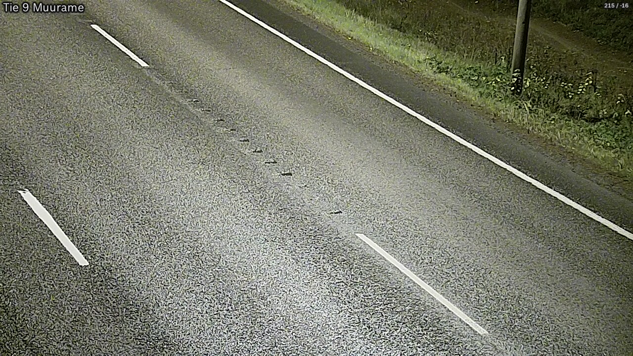 Kelikamerat Kuva Tie 9 Muurame, Muurame, Keski-Suomi