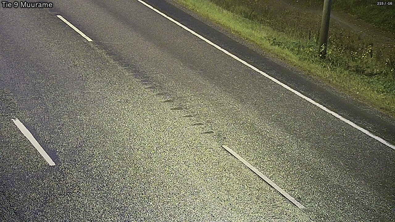 Weather Camera Image Väg 9 Muurame, Muurame, Keski-Suomi