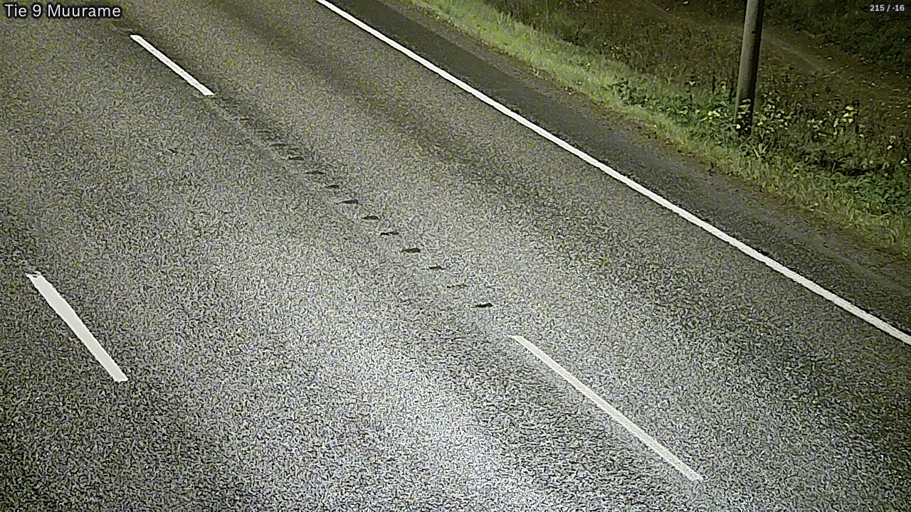Kelikamerat Kuva Tie 9 Muurame, Muurame, Keski-Suomi