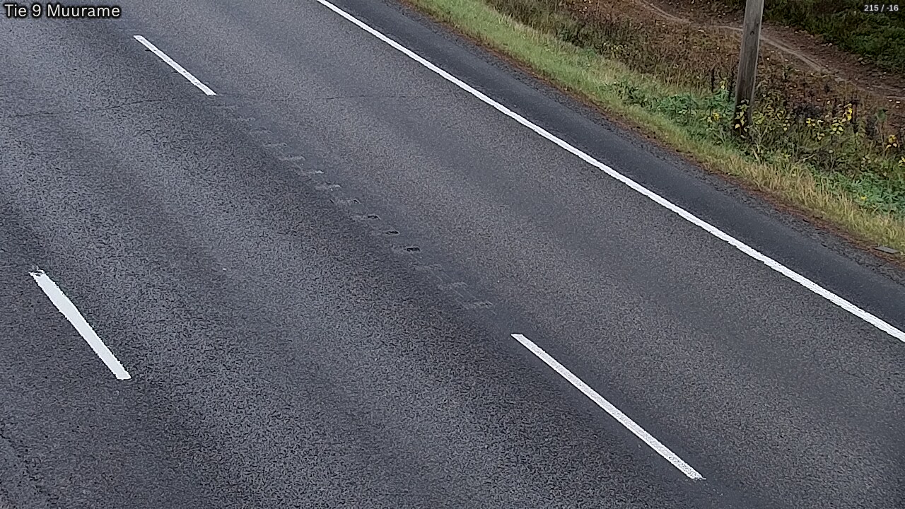 Kelikamerat Kuva Tie 9 Muurame, Muurame, Keski-Suomi