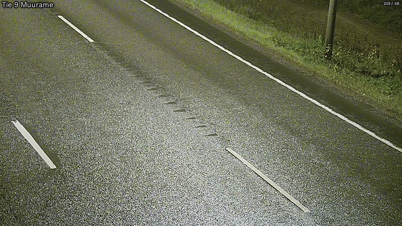 Kelikamerat Kuva Tie 9 Muurame, Muurame, Keski-Suomi