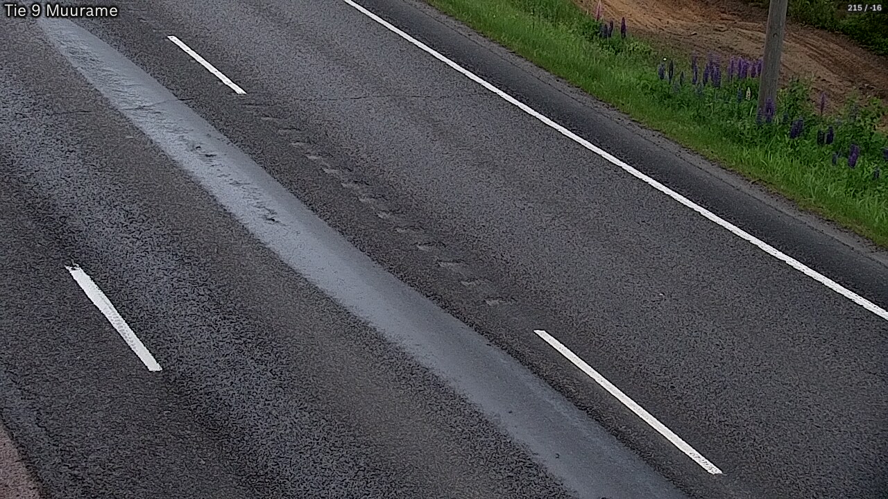 Kelikamerat Kuva Tie 9 Muurame, Muurame, Keski-Suomi