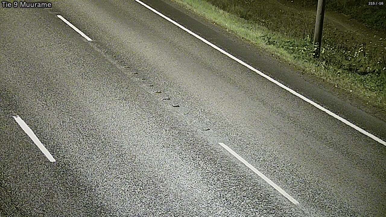 Kelikamerat Kuva Tie 9 Muurame, Muurame, Keski-Suomi