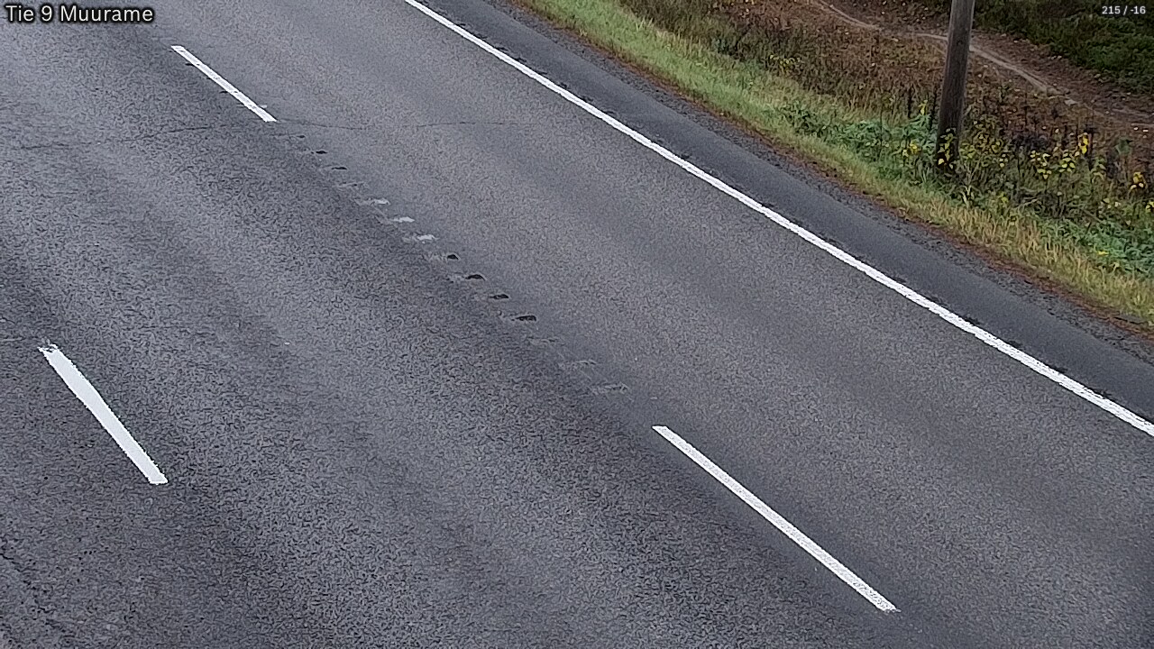 Kelikamerat Kuva Tie 9 Muurame, Muurame, Keski-Suomi