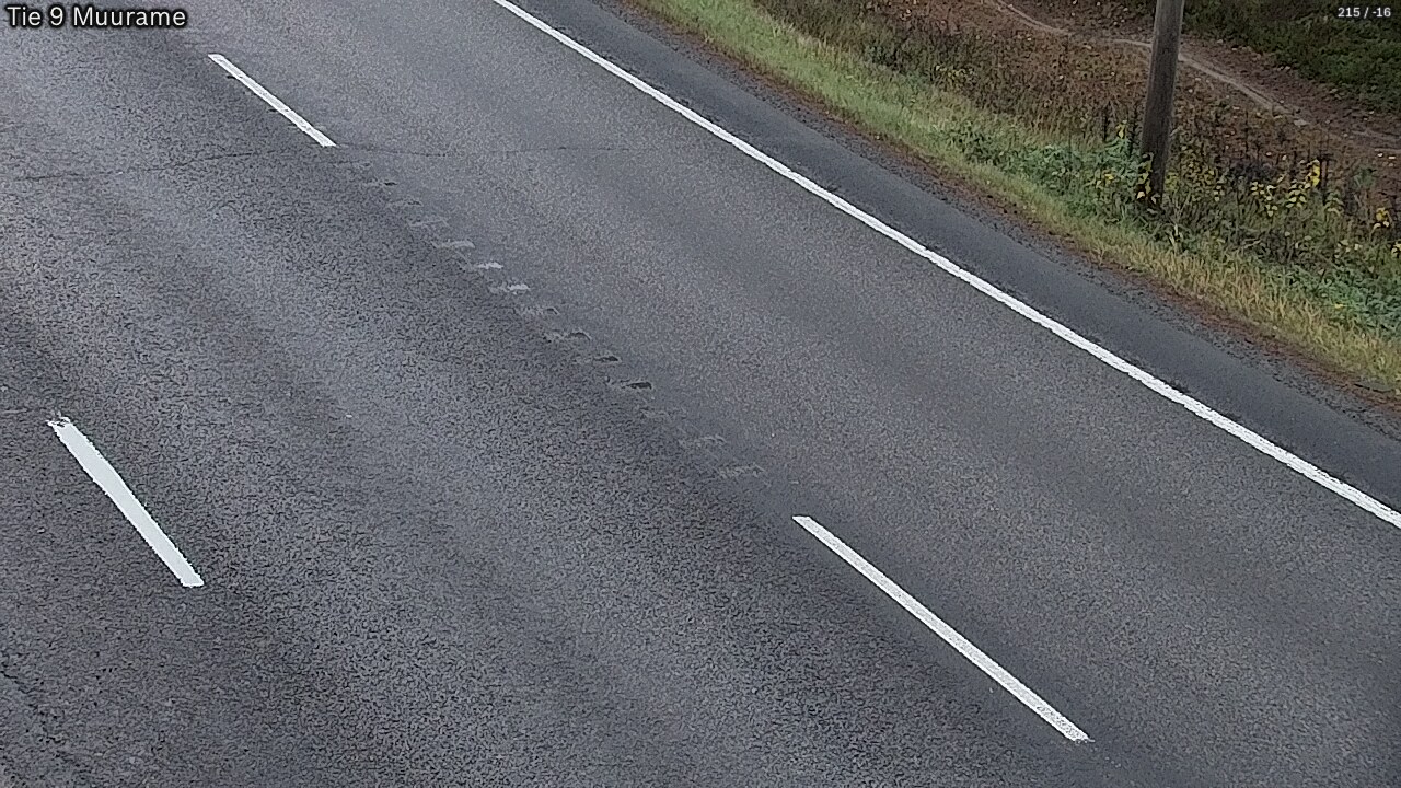 Kelikamerat Kuva Tie 9 Muurame, Muurame, Keski-Suomi