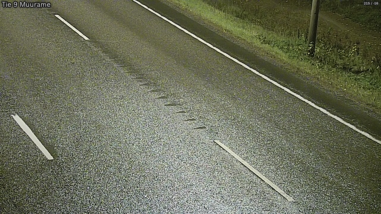 Kelikamerat Kuva Tie 9 Muurame, Muurame, Keski-Suomi