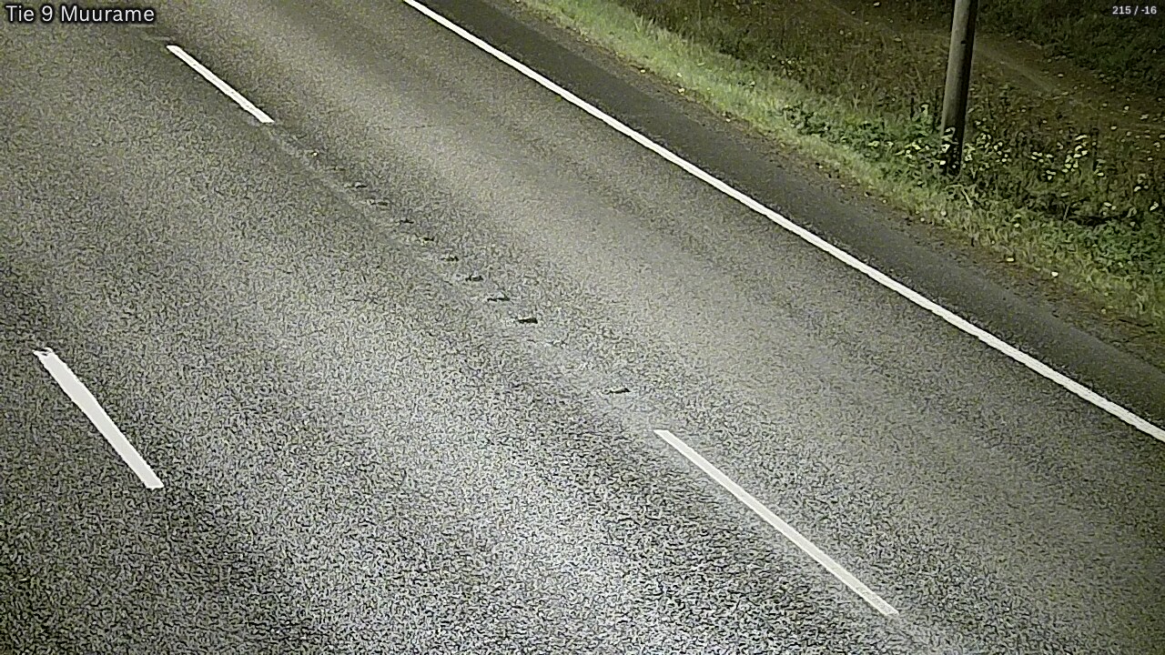 Kelikamerat Kuva Tie 9 Muurame, Muurame, Keski-Suomi