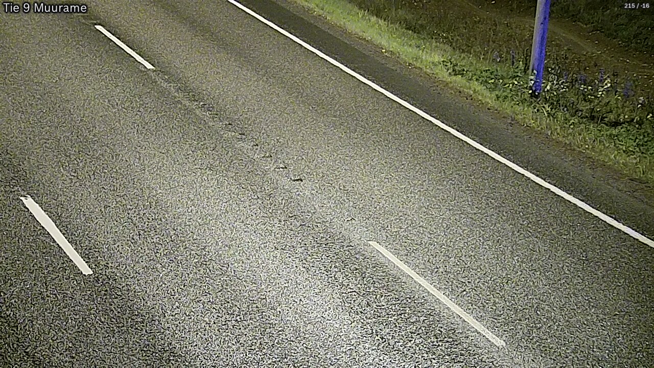 Kelikamerat Kuva Tie 9 Muurame, Muurame, Keski-Suomi