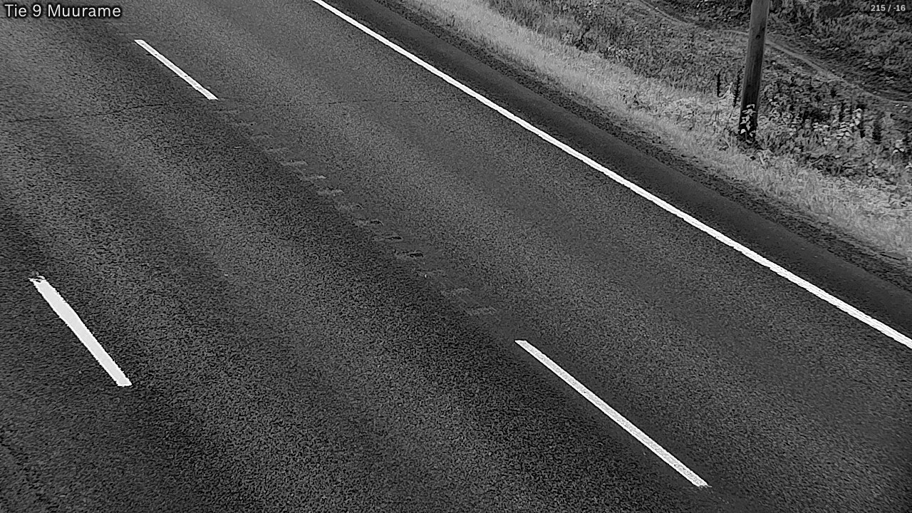 Kelikamerat Kuva Tie 9 Muurame, Muurame, Keski-Suomi