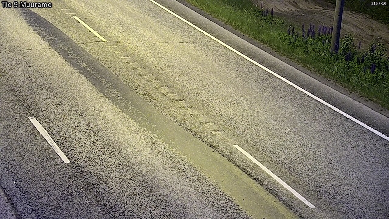 Kelikamerat Kuva Tie 9 Muurame, Muurame, Keski-Suomi