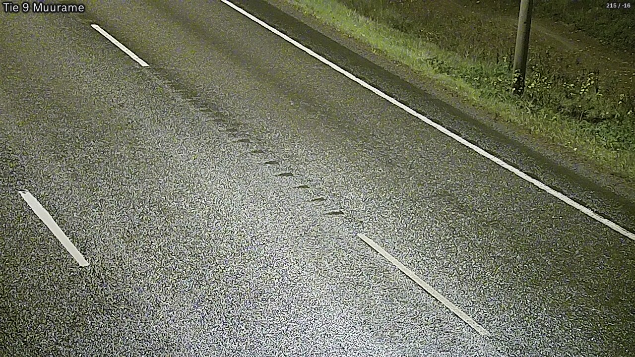 Kelikamerat Kuva Tie 9 Muurame, Muurame, Keski-Suomi