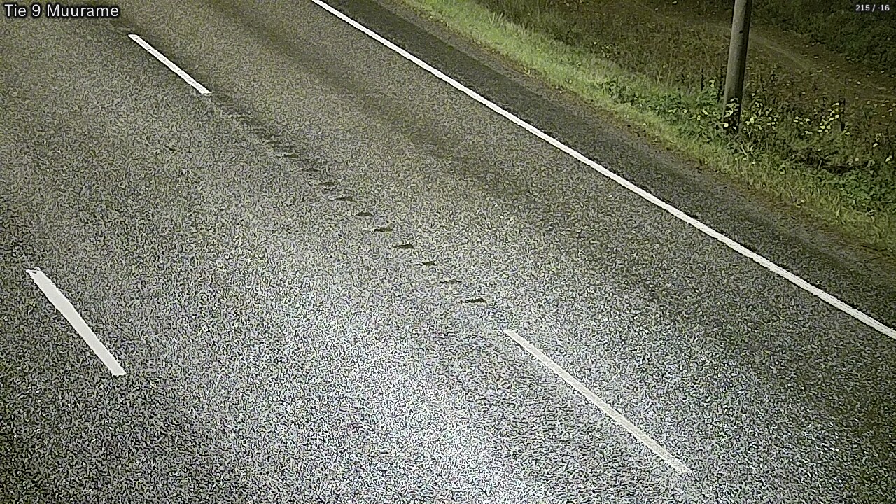 Kelikamerat Kuva Tie 9 Muurame, Muurame, Keski-Suomi