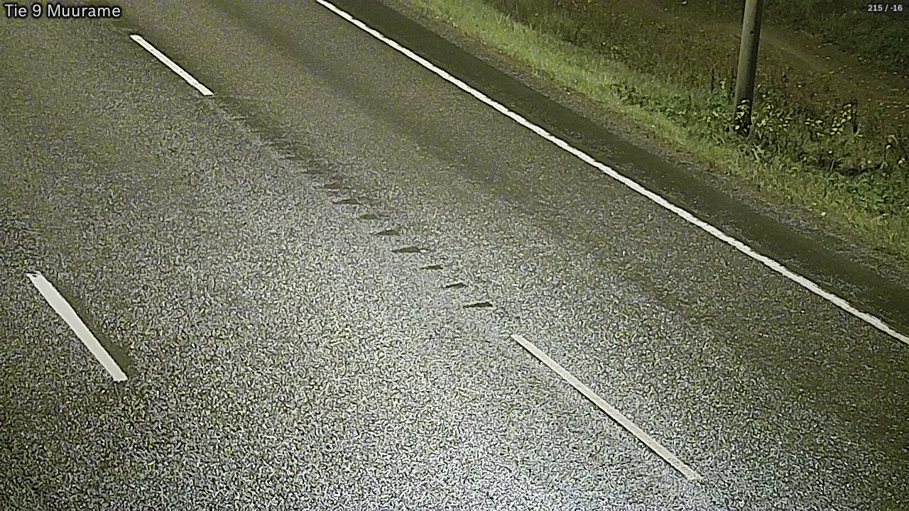 Kelikamerat Kuva Tie 9 Muurame, Muurame, Keski-Suomi