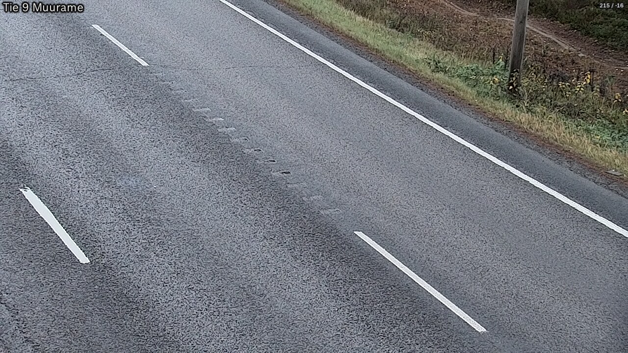 Kelikamerat Kuva Tie 9 Muurame, Muurame, Keski-Suomi