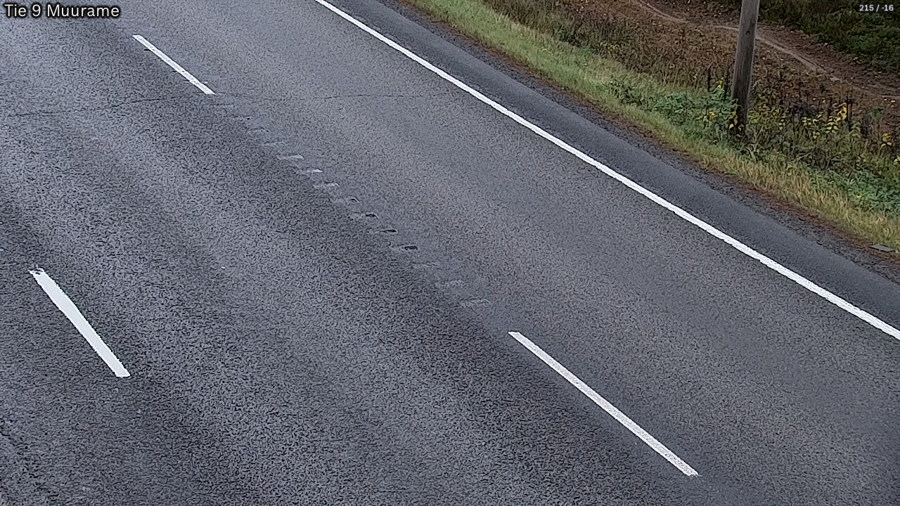 Kelikamerat Kuva Tie 9 Muurame, Muurame, Keski-Suomi