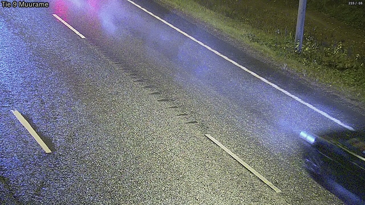 Kelikamerat Kuva Tie 9 Muurame, Muurame, Keski-Suomi