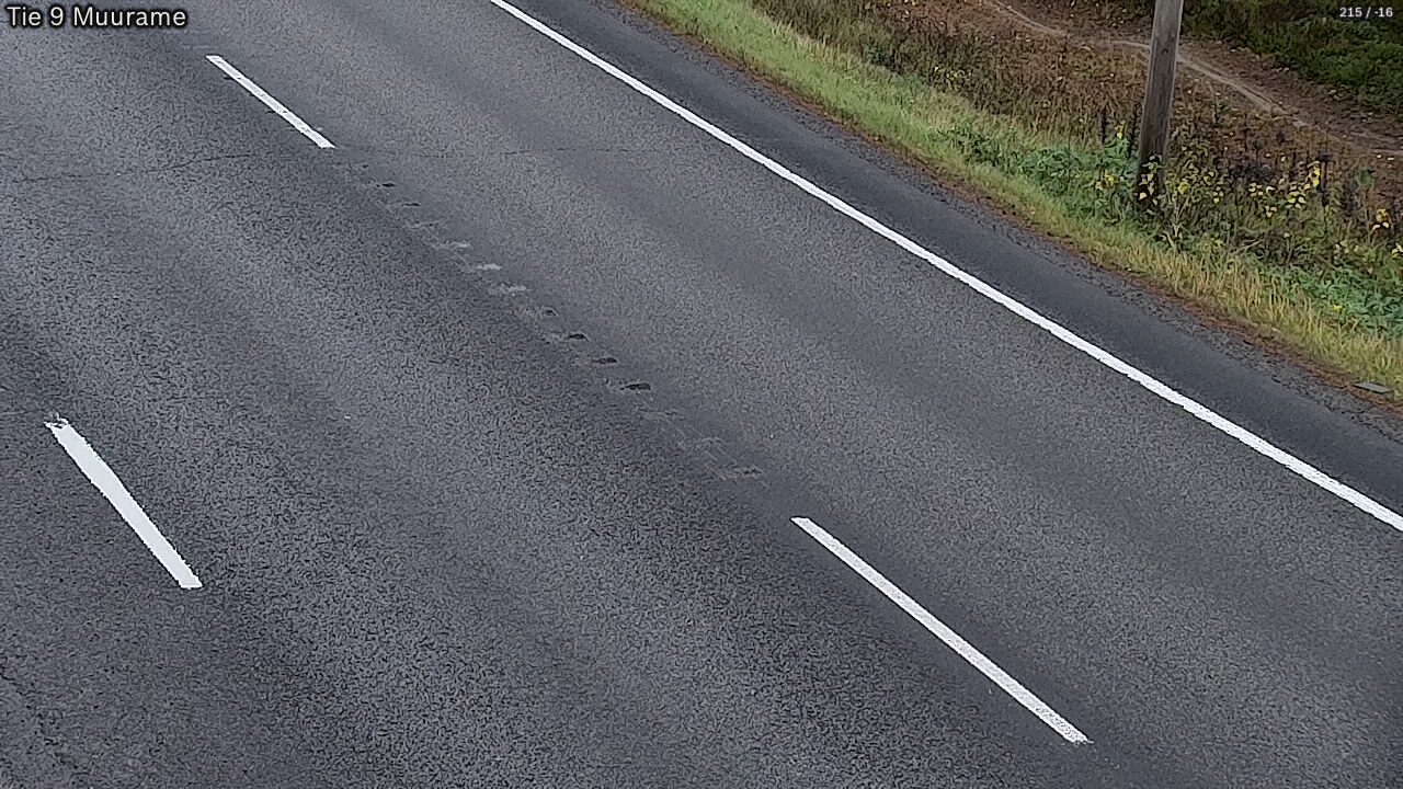 Kelikamerat Kuva Tie 9 Muurame, Muurame, Keski-Suomi