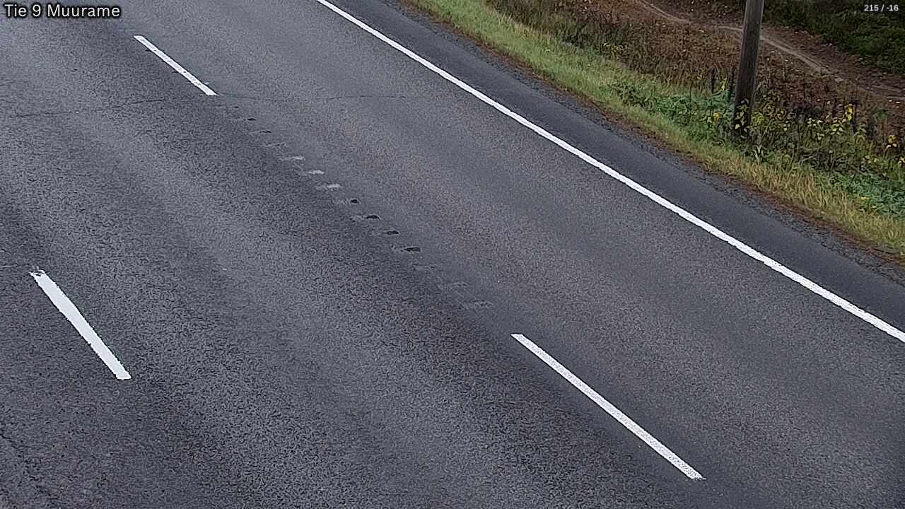 Kelikamerat Kuva Tie 9 Muurame, Muurame, Keski-Suomi