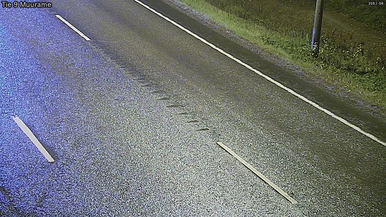 Kelikamerat Kuva Tie 9 Muurame, Muurame, Keski-Suomi