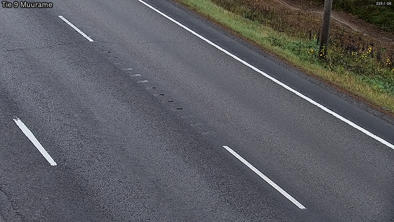 Kelikamerat Kuva Tie 9 Muurame, Muurame, Keski-Suomi