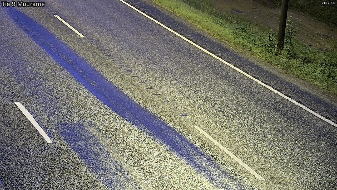 Kelikamerat Kuva Tie 9 Muurame, Muurame, Keski-Suomi