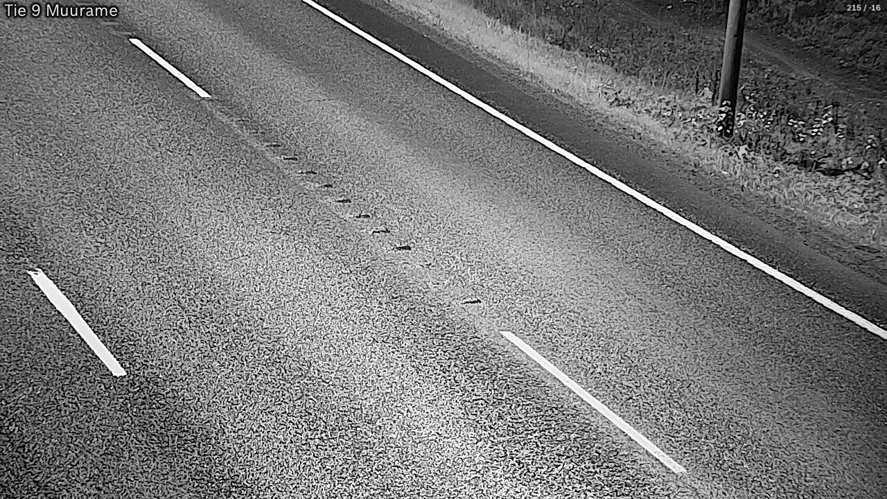 Kelikamerat Kuva Tie 9 Muurame, Muurame, Keski-Suomi