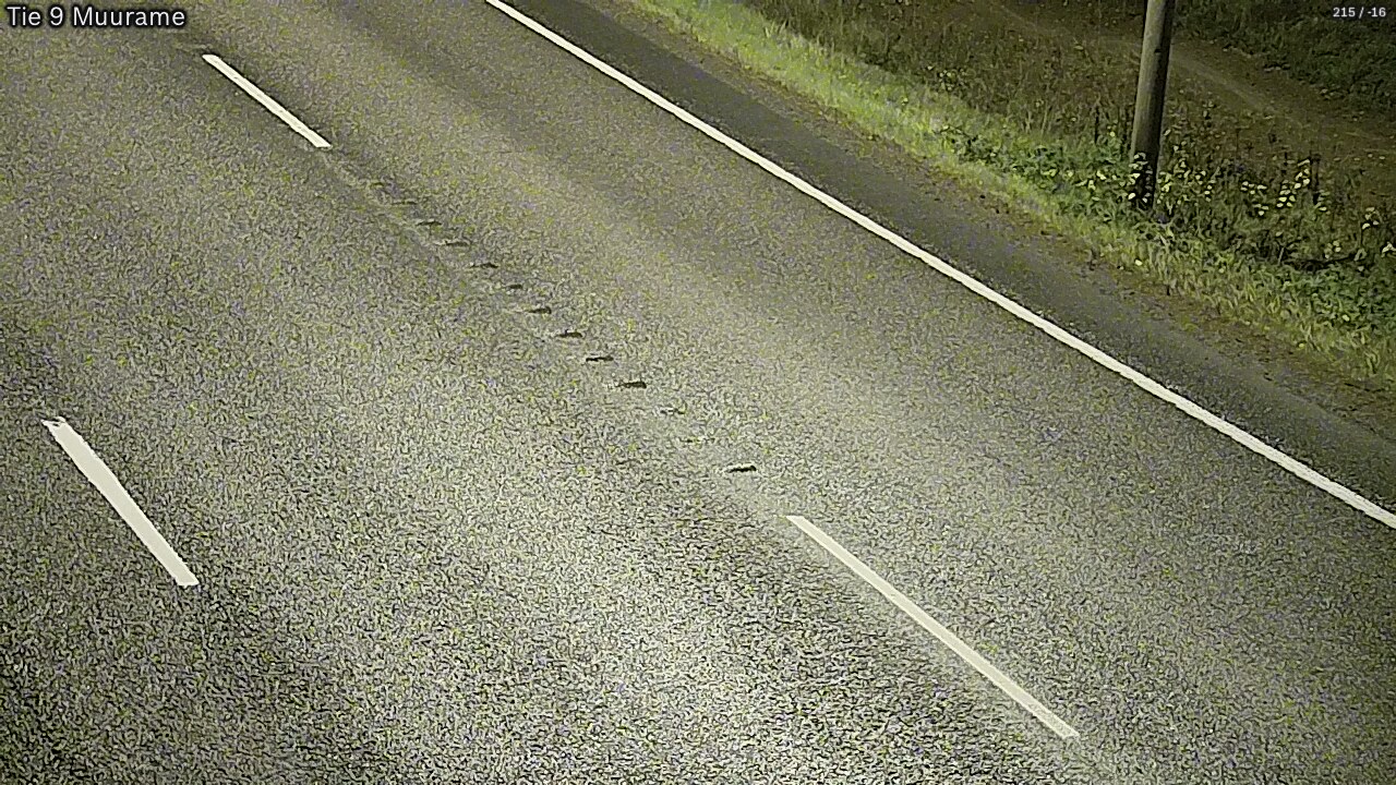 Kelikamerat Kuva Tie 9 Muurame, Muurame, Keski-Suomi