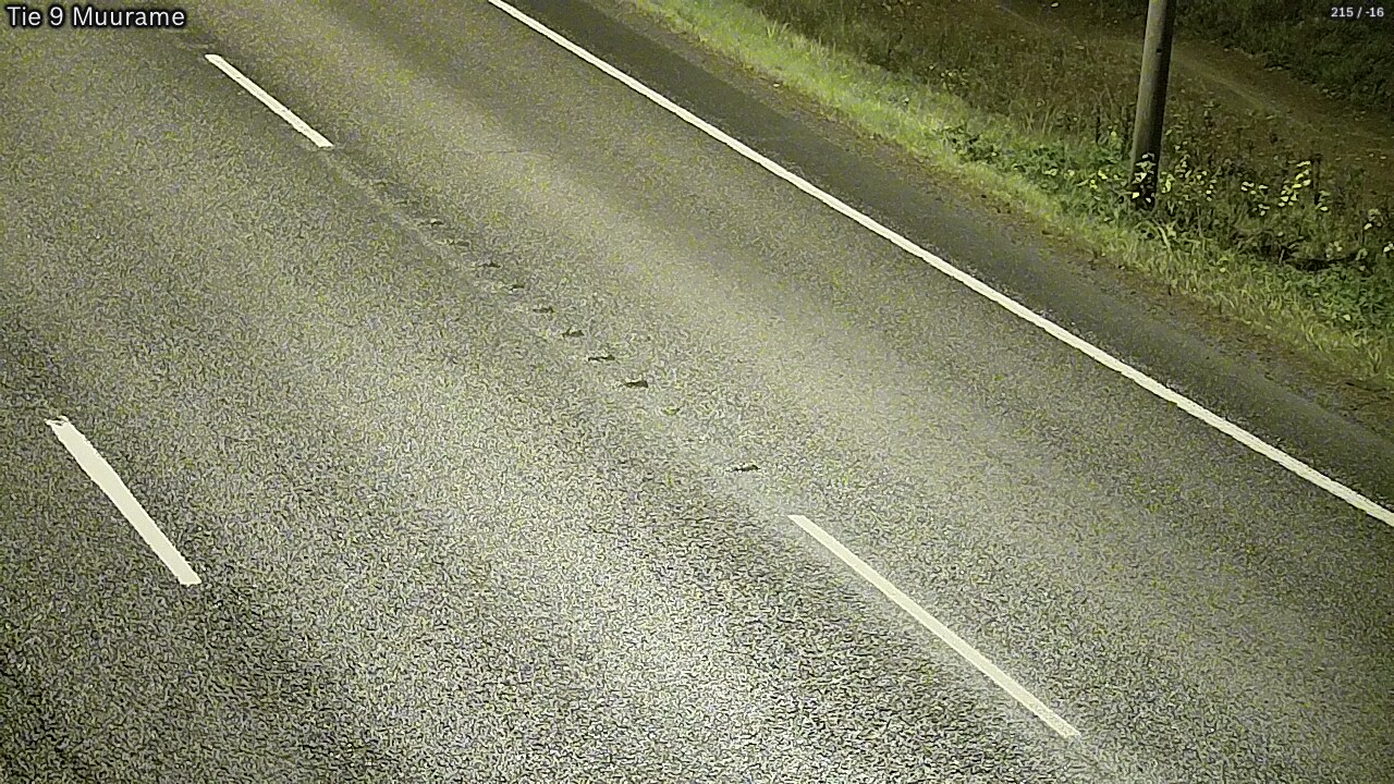 Kelikamerat Kuva Tie 9 Muurame, Muurame, Keski-Suomi