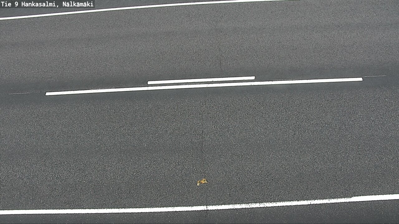 Weather Camera Image Väg 9 Hankasalmi, Nälkämäki, Hankasalmi, Keski-Suomi