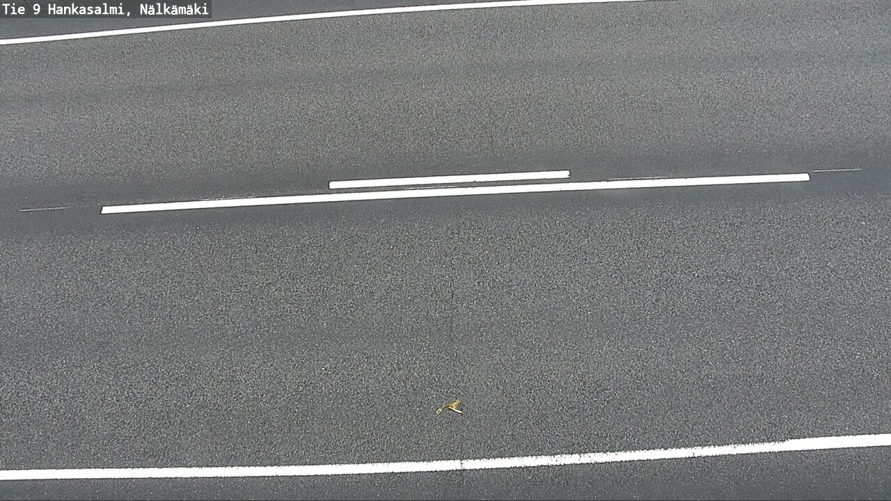 Weather Camera Image Väg 9 Hankasalmi, Nälkämäki, Hankasalmi, Keski-Suomi