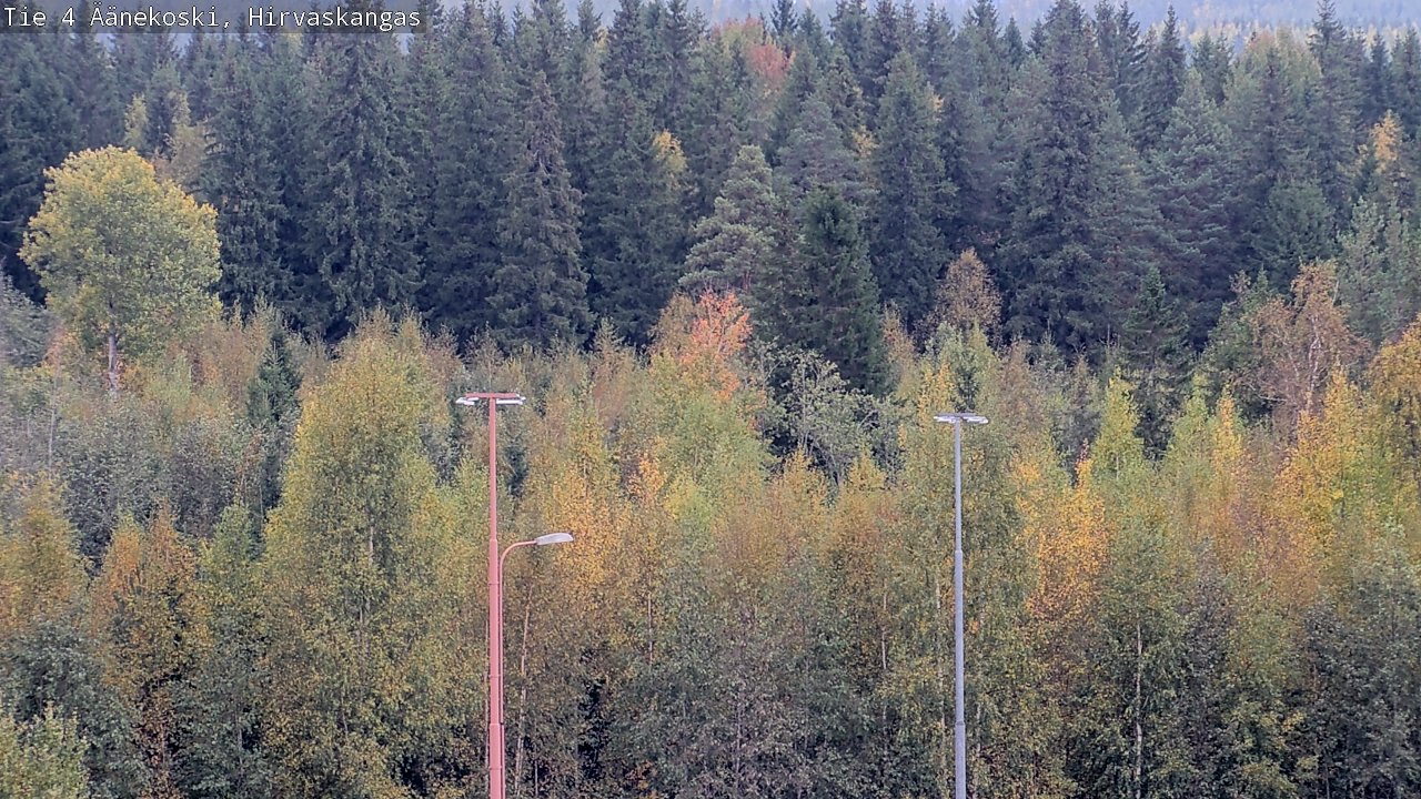 Weather Camera Image Road 4 Äänekoski, Hirvaskangas, Äänekoski, Keski-Suomi