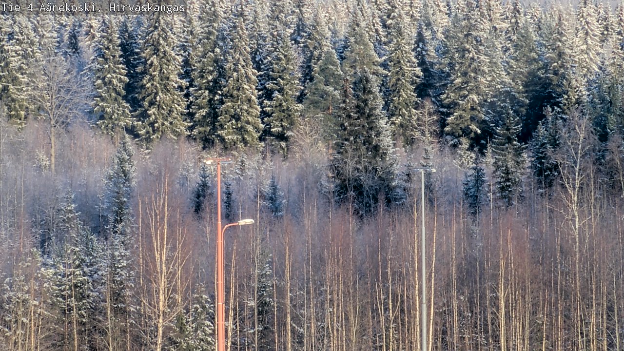 Kelikamerat Kuva Tie 4 Äänekoski, Hirvaskangas, Äänekoski, Keski-Suomi