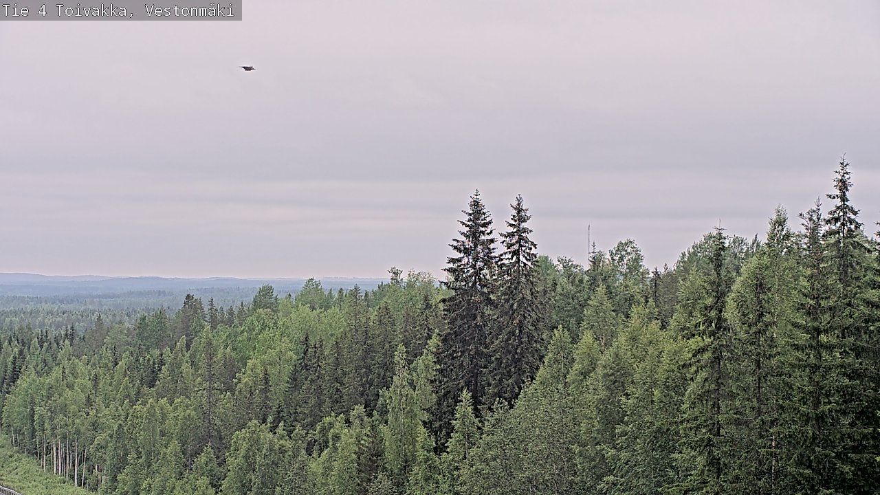 Kelikamerat Kuva Tie 4 Toivakka, Vestonmäki, Toivakka, Keski-Suomi