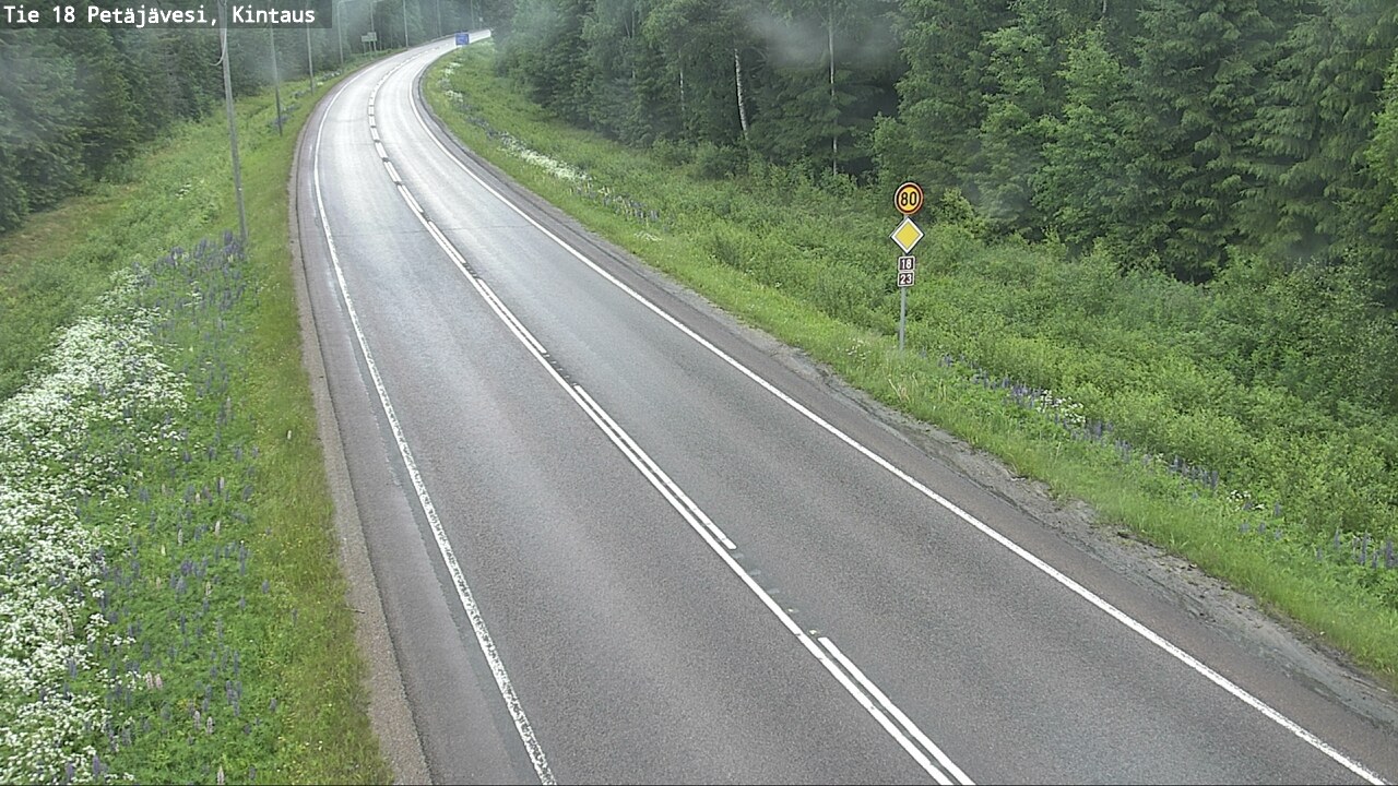 Kelikamerat Kuva Tie 18 Petäjävesi, Kintaus, Petäjävesi, Keski-Suomi
