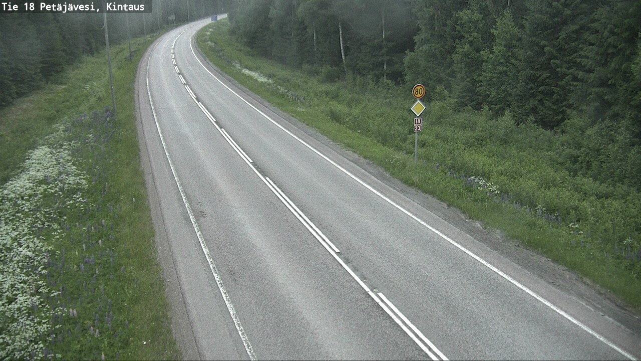 Kelikamerat Kuva Tie 18 Petäjävesi, Kintaus, Petäjävesi, Keski-Suomi