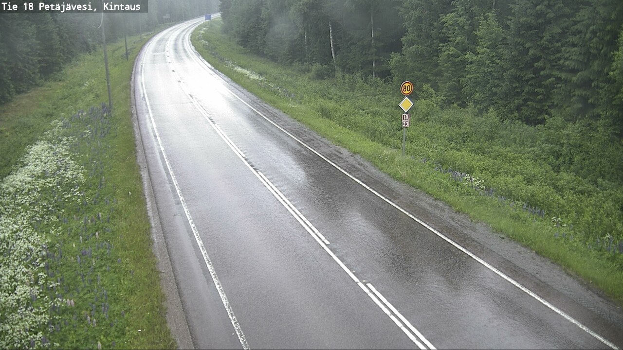 Kelikamerat Kuva Tie 18 Petäjävesi, Kintaus, Petäjävesi, Keski-Suomi