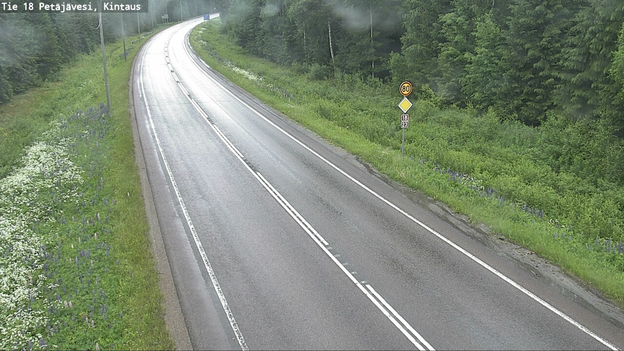 Kelikamerat Kuva Tie 18 Petäjävesi, Kintaus, Petäjävesi, Keski-Suomi