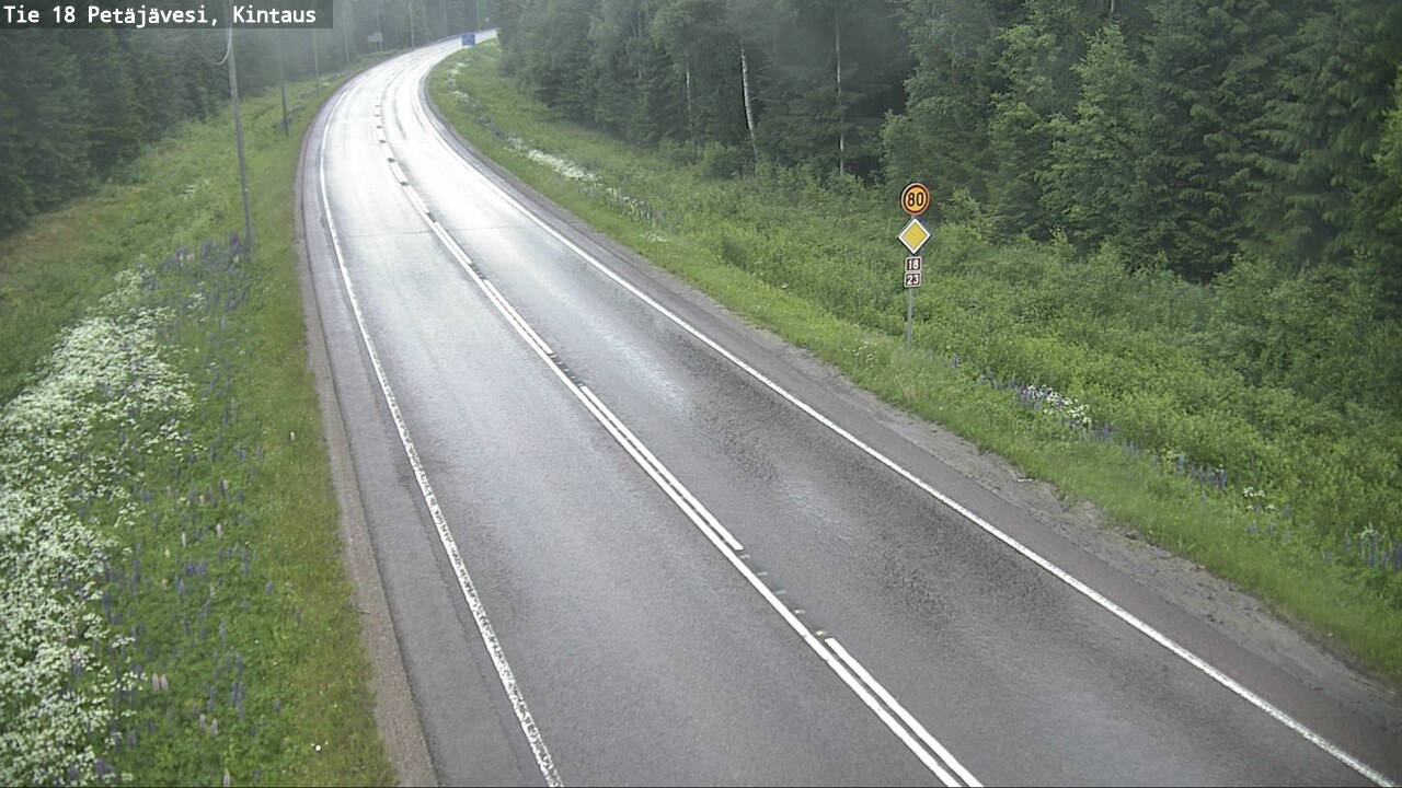 Kelikamerat Kuva Tie 18 Petäjävesi, Kintaus, Petäjävesi, Keski-Suomi