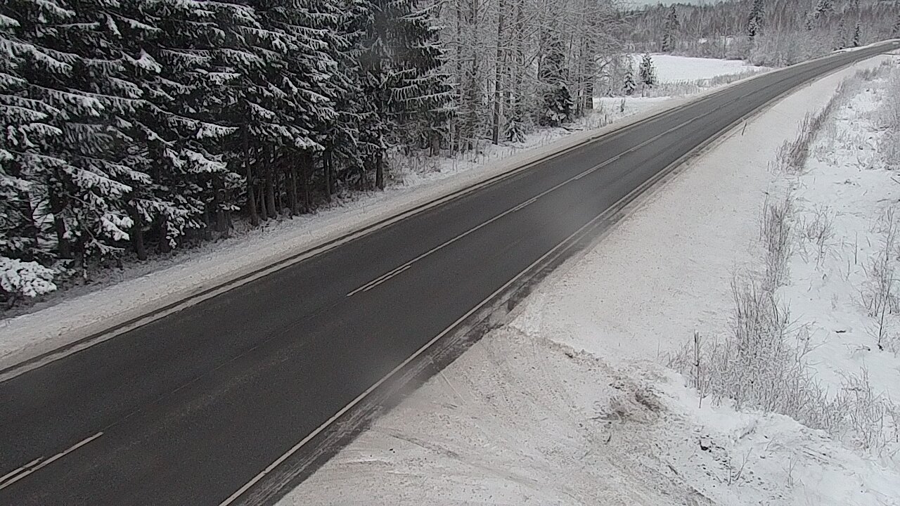Kelikamerat Kuva Tie 4 Viitasaari, Löytänä, Viitasaari, Keski-Suomi