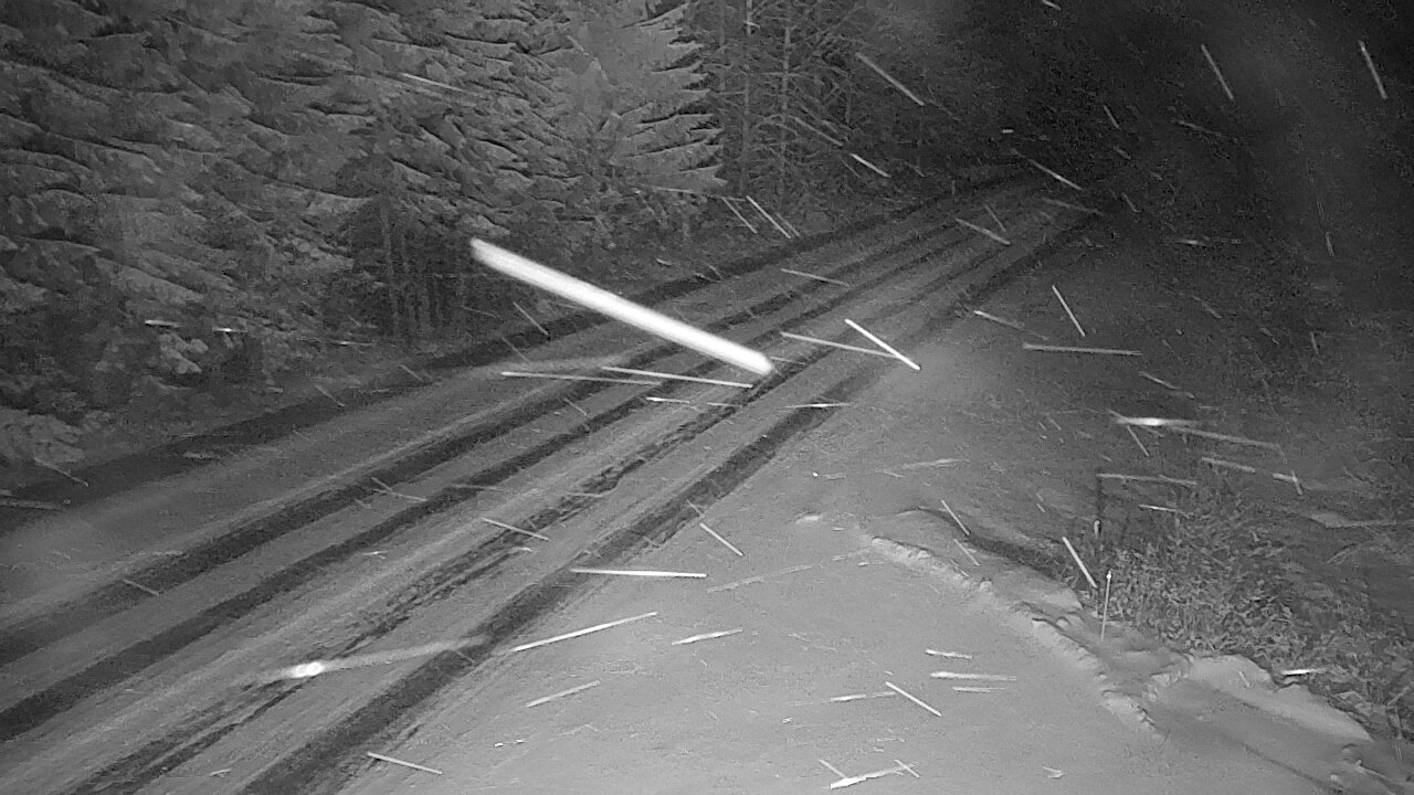 Kelikamerat Kuva Tie 4 Viitasaari, Löytänä, Viitasaari, Keski-Suomi