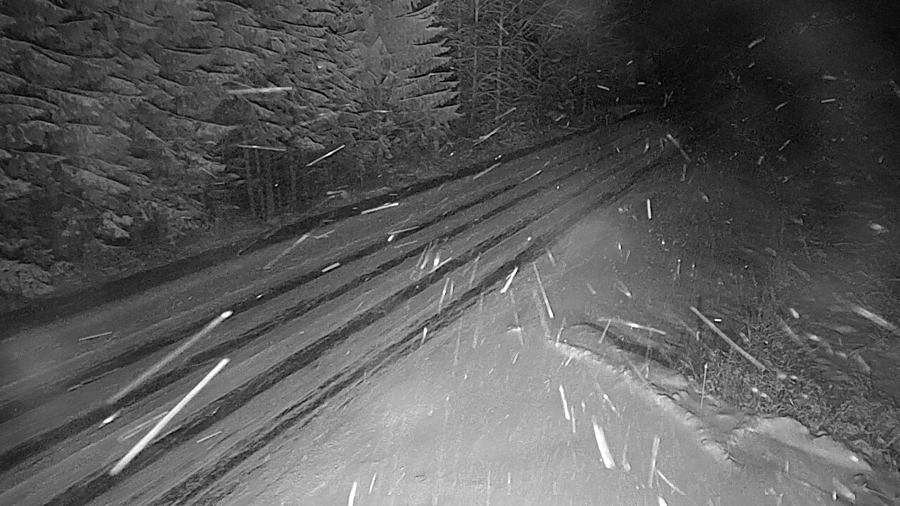 Kelikamerat Kuva Tie 4 Viitasaari, Löytänä, Viitasaari, Keski-Suomi