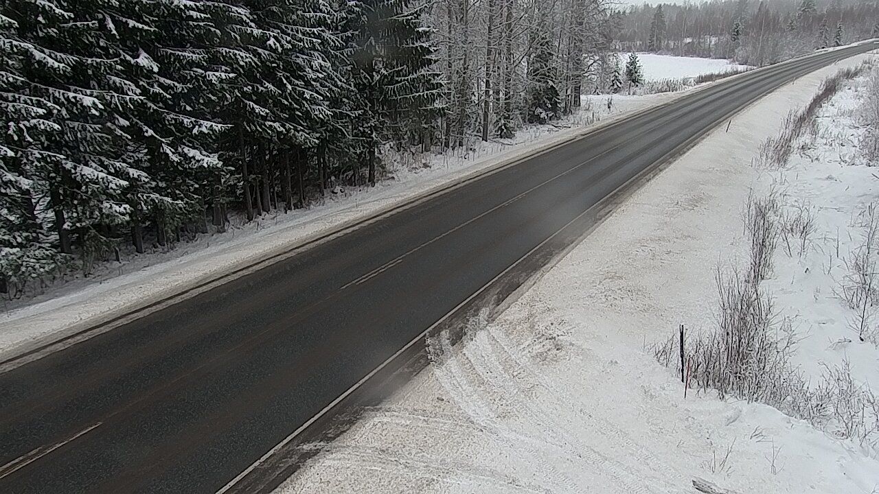 Kelikamerat Kuva Tie 4 Viitasaari, Löytänä, Viitasaari, Keski-Suomi