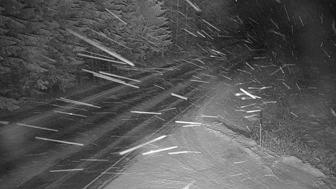 Kelikamerat Kuva Tie 4 Viitasaari, Löytänä, Viitasaari, Keski-Suomi