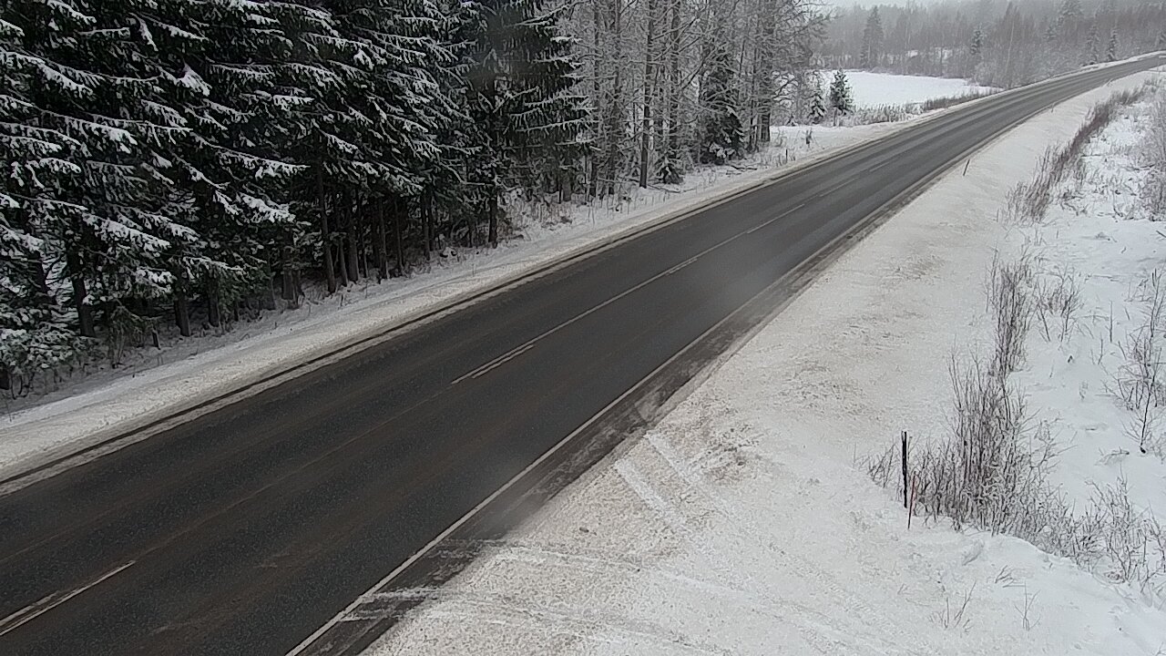 Kelikamerat Kuva Tie 4 Viitasaari, Löytänä, Viitasaari, Keski-Suomi