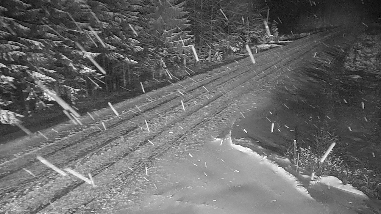 Kelikamerat Kuva Tie 4 Viitasaari, Löytänä, Viitasaari, Keski-Suomi