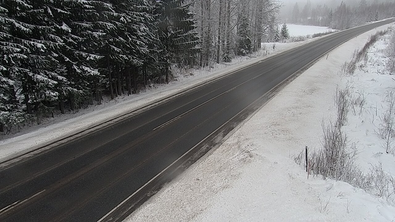 Kelikamerat Kuva Tie 4 Viitasaari, Löytänä, Viitasaari, Keski-Suomi